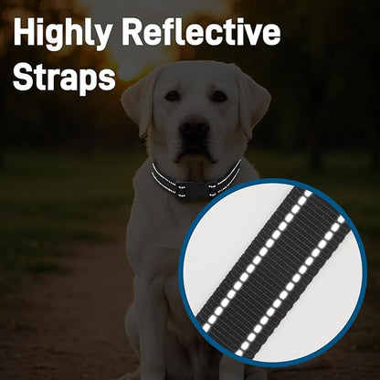 Dog Collar for Small Medium Dogs with Buckle, Breathable Adjustable Nylon Reflective Dog Collars, Black/Small