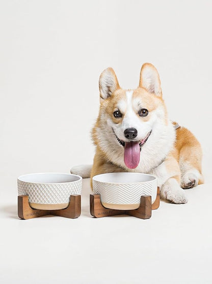 LE TAUCI PET Ceramic Dog Bowl Set, 4 Cups Food and Water Bowl for Medium Small Dogs, Cute Pet Dishes with Wood Stand, Rhombus+Wave Design (Set of 2)