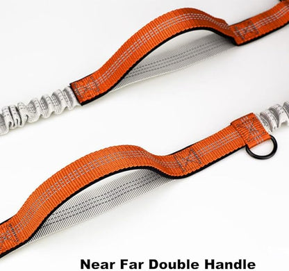 Hands Free Dog Running Leash, Pet Leash Outdoor Running Reflective with Adjustable Waist Belt, Near Far Double Handle, Dog Chain Leash for Walking, Jogging and Running (Lake Blue)