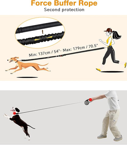 Pecute Dog Leash Hands Free with Pouch, Waist Belt Fanny Pack with Soft Pads, Dual Handles and Durable Bungee for Walking, Dog Seat Belt, Hiking, Running, Training, Orange(Up to 180lbs)