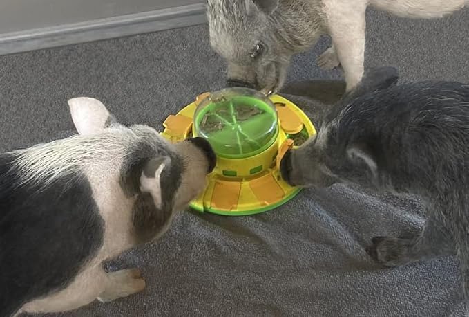 Piggy Poo and Crew Treat Popper Slow Feeder Interactive Food Dispenser Puzzle Game for Dogs Puppies Rabbits Pigs Small Animals