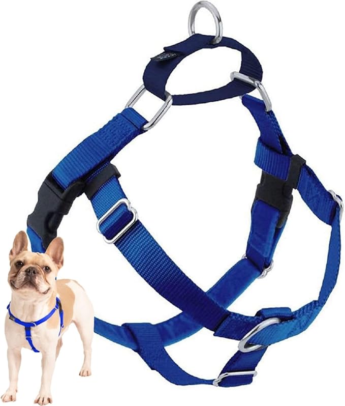 2 Hounds Design Freedom No Pull Dog Harness, Harness ONLY, Royal Blue, Medium (1" Wide)