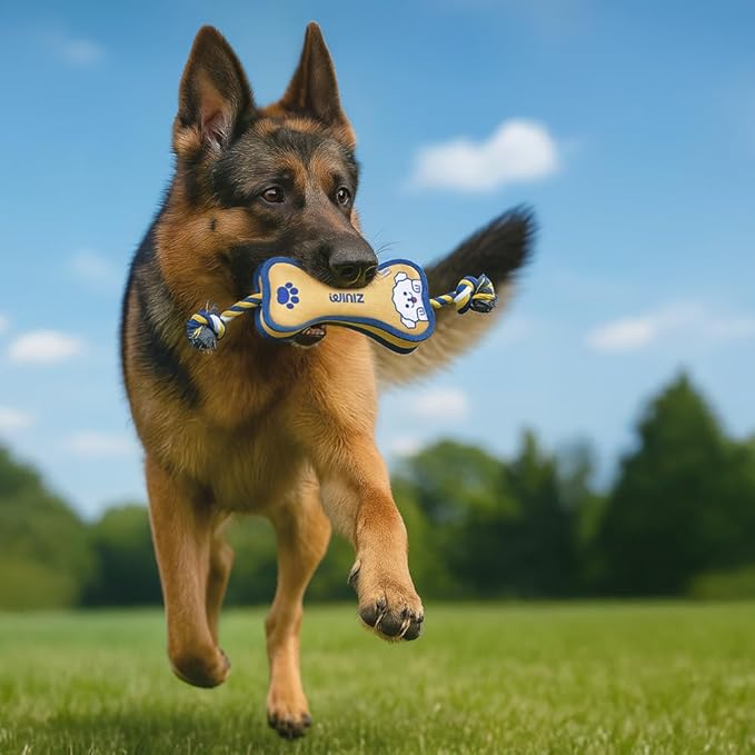 Durable Dog Toy – Interactive Chew Toy – Multiple Styles & Sizes Frog S