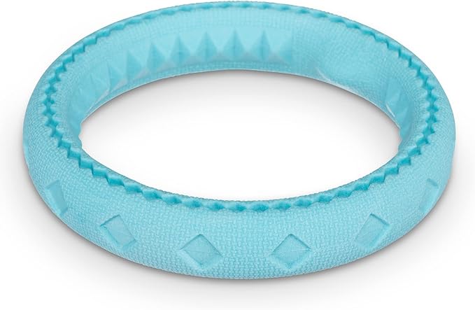 Messy Mutts Totally Pooched Chew n' Tug Ring | TPR Dog Toy | Made for Tough Chewers | Tough Fetch Ring for Dogs | 6.5” | Teal