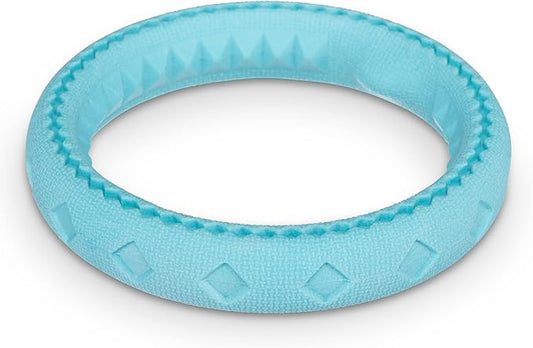 Messy Mutts Totally Pooched Chew n' Tug Ring | TPR Dog Toy | Made for Tough Chewers | Tough Fetch Ring for Dogs | 6.5” | Teal