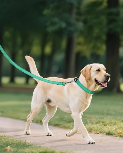 Joytale Dog Collars for Medium Dogs, Comfortable Double-Sided Reflective Nylon Collar for Night Safety, Adjustable Quick-Release for Active Pets, Teal, M (1" Width)