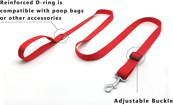 TAIAN Adjustable Nylon Dog Leash, 6FT/10 FT Long Dog Leashes for Small Medium Large Dogs (1 in x 6 ft, Red)