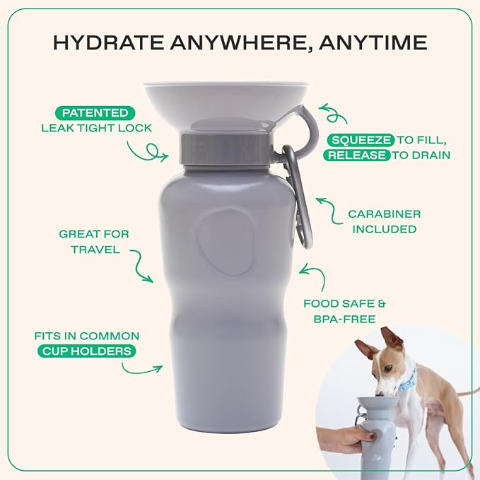 Springer Dog Water Bottle | Portable Travel Water Bottle Dispenser for Dogs - As Seen on Shark Tank | Patented, Leak-Proof Bottles Fill Bowl with Water - Ideal for Walking | BPA-Free 22oz Gray
