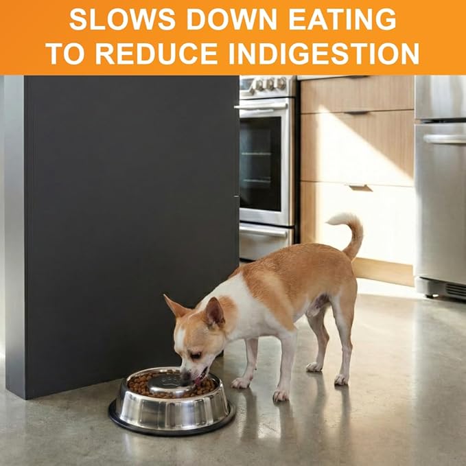 Neater Pet Brands Stainless Steel Slow Feed Bowl - Non-Tip & Non-Skid - Stops Dog Food Gulping, Bloat, Indigestion, and Rapid Eating (.75 Cup)