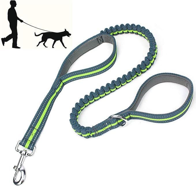 Dog Collars and Leads Heavy Duty Training Leash with Double Padded Handles Reflective 4 FT Long Perfect for Small Medium Large Dogs Walking Hiking Green LEONEBEBE