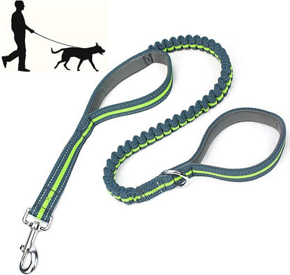 Dog Collars and Leads Heavy Duty Training Leash with Double Padded Handles Reflective 4 FT Long Perfect for Small Medium Large Dogs Walking Hiking Green LEONEBEBE