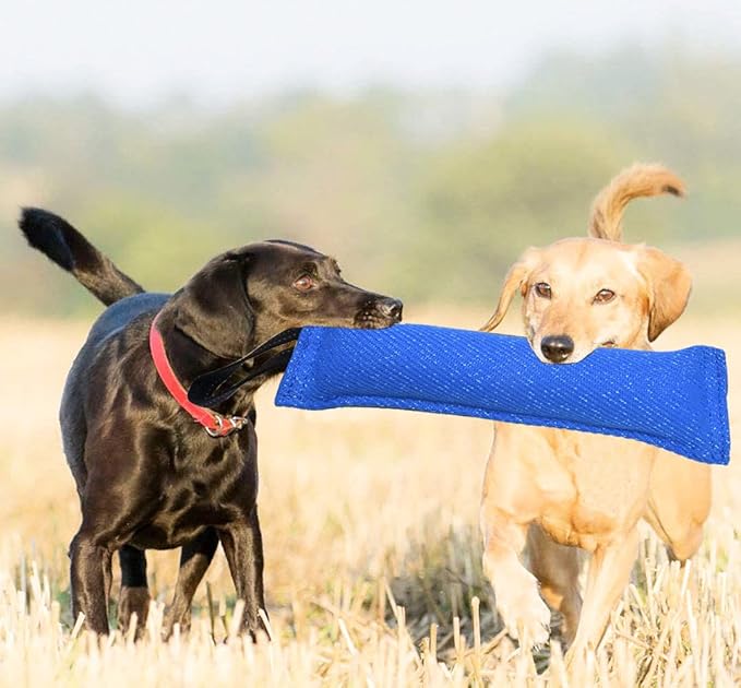 Clysoru tug Toy for Dogs Tug of War Dog Puppy Bite with 2 Strong Handles Made Durable Tear Resistant Stitches