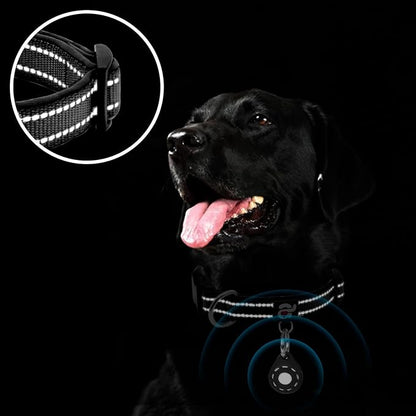 azuza Reflective Dog Collar with Airtag Holder, Soft Neoprene Padded Pet Collar with ID Tag Ring, Adjustable for Small Dogs,Black,S