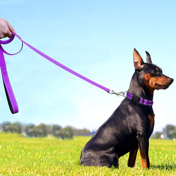 FunTags 6FT Reflective Dog Leash with Soft Padded Handle for Training,Walking Lead for Medium & Small Dogs,3/4 Inch Wide,Purple