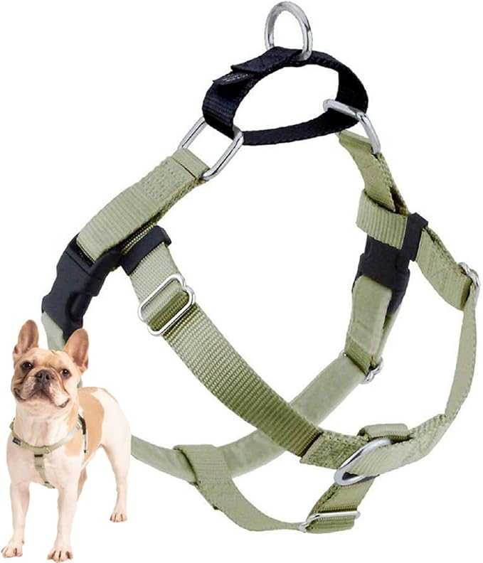 2 Hounds Design Freedom No Pull Dog Harness, Adjustable Harness, Easy Walking & Comfortable Control, Fits Small, Medium & Large Dogs, Solid Colors, Made in USA, 1" MD, Tan