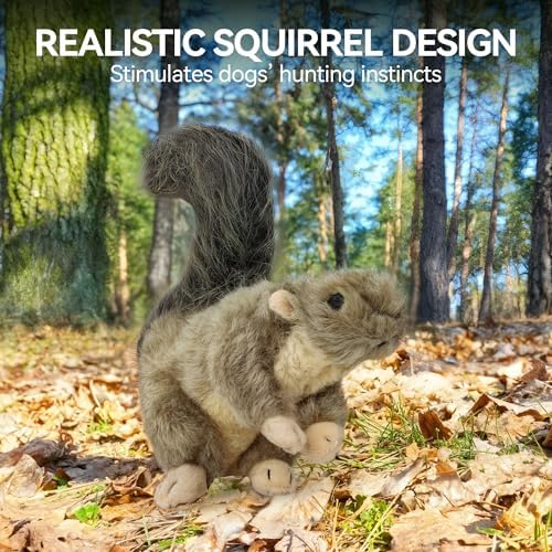 ALL FOR PAWS Interactive Dog Squirrel Plush Squeaky Toy - Perfect Puppy Enrichment Toy, Large - Image 3