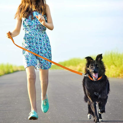 FunTags 4FT Reflective Dog Leash with Soft Padded Handle for Training,Walking Lead for Large & Medium Dog,1 Inch Wide,Orange