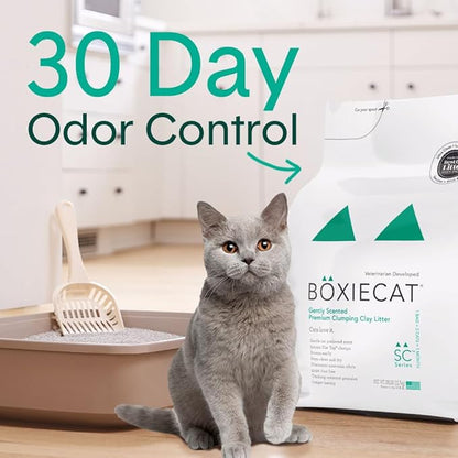 Boxiecat Cat Litter, Clumping, 32lbs, Gently Scented | 30 Day Odor Control | Clay | 2 Pack