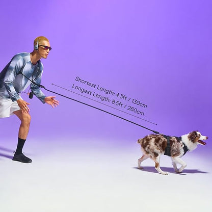 Wild One Hands-Free Adjustable Rope Dog Leash, Standard: 4' to 8.5' Long, .5" Wide, Adjustable for Crossbody, Waist & Handheld, Bubblegum