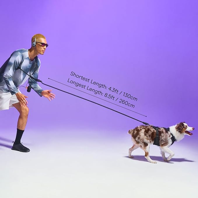 Wild One Hands-Free Adjustable Rope Dog Leash, Standard: 4' to 8.5' Long, .5" Wide, Adjustable for Crossbody, Waist & Handheld, Spruce
