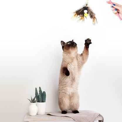 Cat Insect Feather Toys - Cat Wand and 6 Natural Insect Feathers Refill, Interactive Teaser with Bell