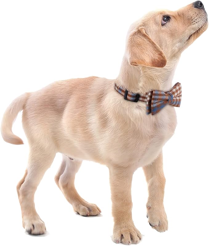 Faleela Soft &Comfy Bowtie Dog Collar,Detachable and Adjustable Bow Tie Collar,for Small Medium Large Pet (Medium (Pack of 1), Blue and Whit)