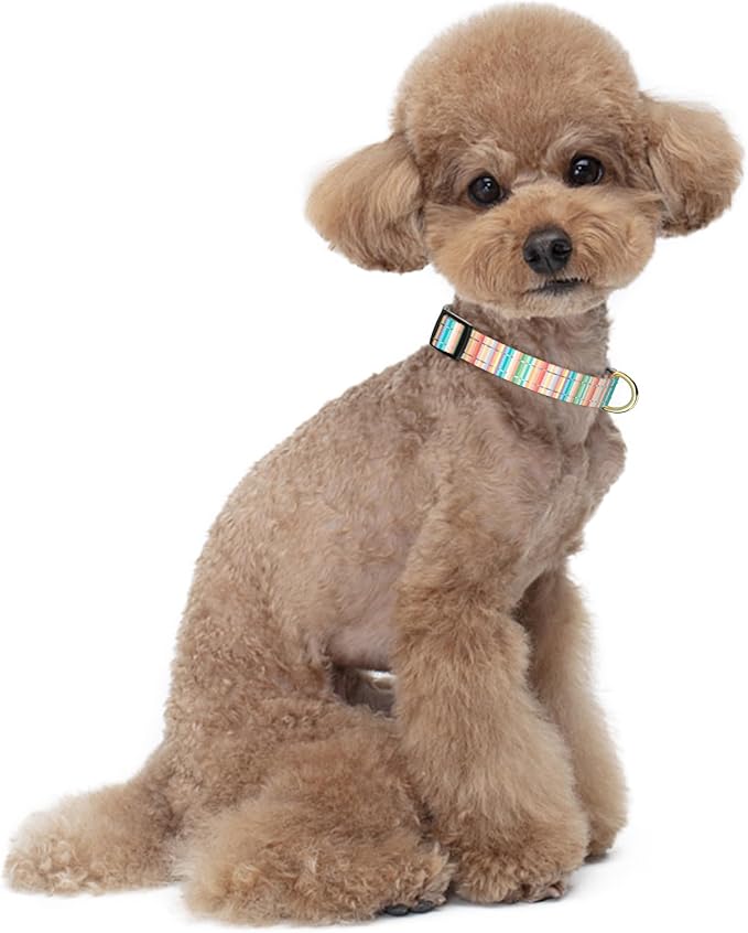 Reflective Dog Collar, Cute Dog Collar for Small Dogs, Soft Nylon Puppy Collar for Boy and Girl Female Dogs, Adjustable Pet Collars with Quick Release Buckle, Colorful Watercolor Art