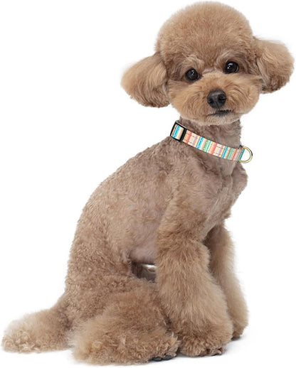 Reflective Dog Collar, Cute Dog Collar for Small Dogs, Soft Nylon Puppy Collar for Boy and Girl Female Dogs, Adjustable Pet Collars with Quick Release Buckle, Colorful Watercolor Art