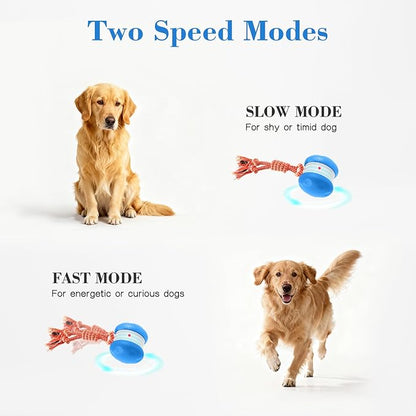 Interactive Dog Ball, Random Path Electric Automatic Moving and Rolling Dogs Toy with Rope for Small Medium Large Dogs, Motion-Activated Dog Stimulation Toy for Boredom Relief (Blue)