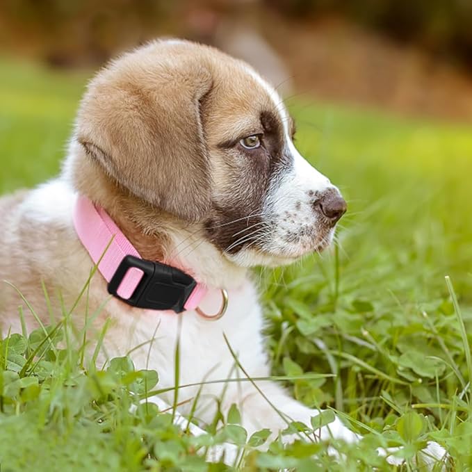 Pink Dog Collar Basic Adjustable Dog Collars for Puppy Small Medium Large Dogs Girls with Breathable Quick Release Nylon Pet Collar
