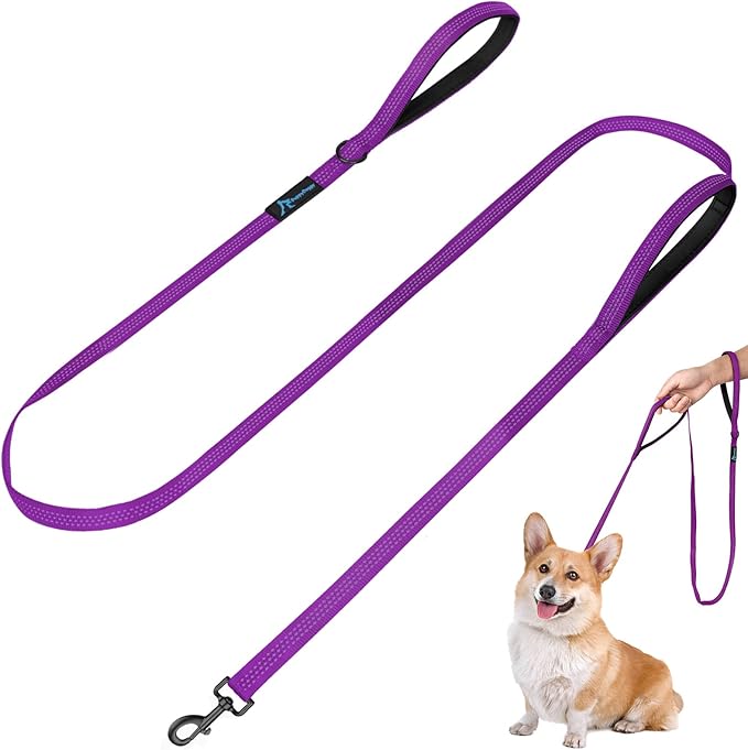 PuppyDoggy Dog Leash for Small to Medium Dogs 6 ft x 0.6" with 3 Reflective Stitching and 2 Traffic Padded Handles Dog Lead/Rope, Pet Leash for Running Walking Training (Purple 1 Pack)
