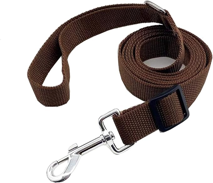TAIAN Adjustable Nylon Dog Leash, 6FT/10 FT Long Dog Leashes for Small Medium Large Dogs (1 in x 10 ft, Brown)