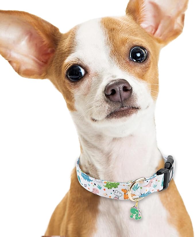 Faygarsle White Dinosaurs Print Cotton Dog Collar for Small, Medium, Large Boys Girls Dogs L