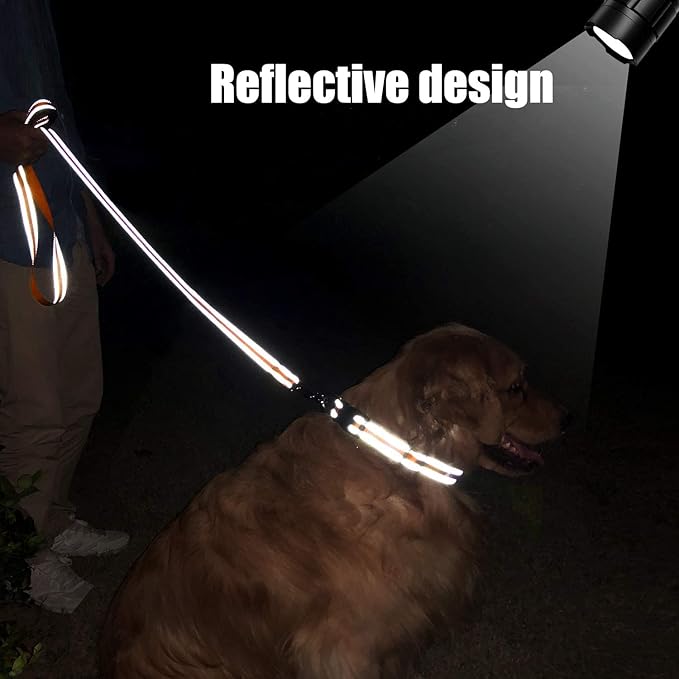 FunTags 4FT Reflective Dog Leash with Soft Padded Handle for Training,Walking Lead for Medium & Small Dogs,3/4 Inch Wide,Orange