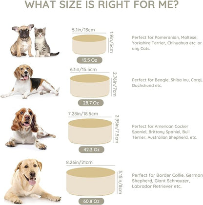 SPUNKYJUNKY 13.5OZ Ceramic Dog and Cat Bowl, Modern Cute Weighted Food Water Bowl for Replacement Beige (2 Pack)
