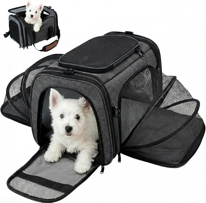 Soft Sided Pet Carrier for Small Dogs & Cats (Up to 9 lbs) – Airline Approved Underseat Travel Bag with Breathable Mesh, Luggage Strap & Washable Mat – Compact & Lightweight, Grey