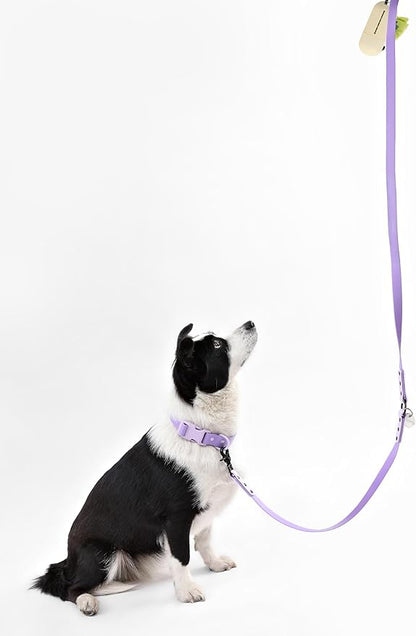 WLK1006H-5SET Luna Large 8FT Adjustable 6-in-1 Waterproof Hands-Free Leash and Collar with LED Flashlight, Bag Dispenser, and Poop Bag Holder, Bramble