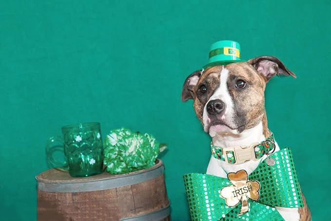 DOGWONG St. Patrick's Day Dog Collar, Lucky Clover Shamrock Green, Medium, Soft Durable Adjustable Costume Bright Lucky Charm Puppy Collar for Small to Large Dogs
