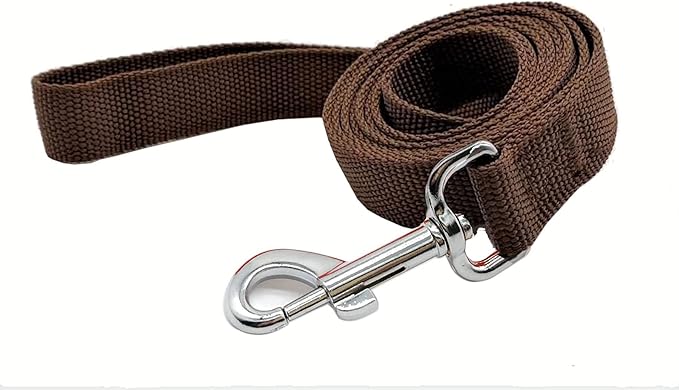 TAIAN 4FT/5FT/6FT Strong Dog Leash, Nylon Dog Leashes for Small Medium Large Dogs (5/8 in x 5 ft, Brown)