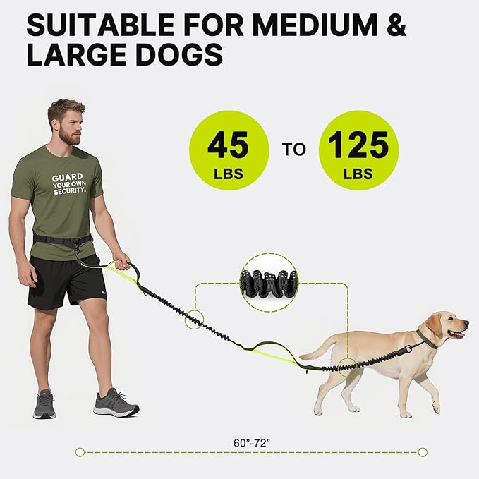 Hands Free Dog Leash for Medium Large Dogs, Waist Support Padded Bungee Dog Running Leash with Reflective Stitching for Walks, Jogging, Running, Hiking, and Dog Training