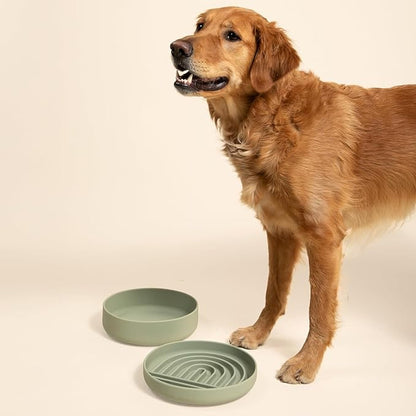 Should We Go? Dog Water Bowl - The Perfect Dish No-Spill, Less Mess Non-Tippable Water & Food Bowl, Pure Silicone with Suction Cup, Fits 8 Cups 9.5" Across x 2.5" Tall, Ideal for All Pets, Large-Sage