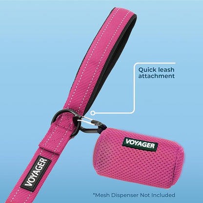 Best Pet Supplies Voyager Reflective Dog Leash or Collar with Neoprene Handle, for Small, Medium, and Large Breed Puppies, Cute and Heavy Duty for Walking, Running and Training - Fuchsia (Leash), L