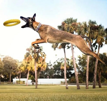 Dog Flying Disc, Premium Quality Flyer Dog Toy for Outdoor & Indoor Fun, Tension Ring Dog Toy for Throwing, Catching, Swimming & Training (Yellow, 6.4 in)