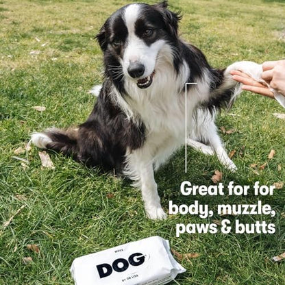 DOG by Dr Lisa - Dog Wipes - Plant-Based, Natural Bathing Wipes for Dogs - Made from 100% Compostable Bamboo - Vet-Created - Vegan, Non-Toxic - 240 Count - Image 4