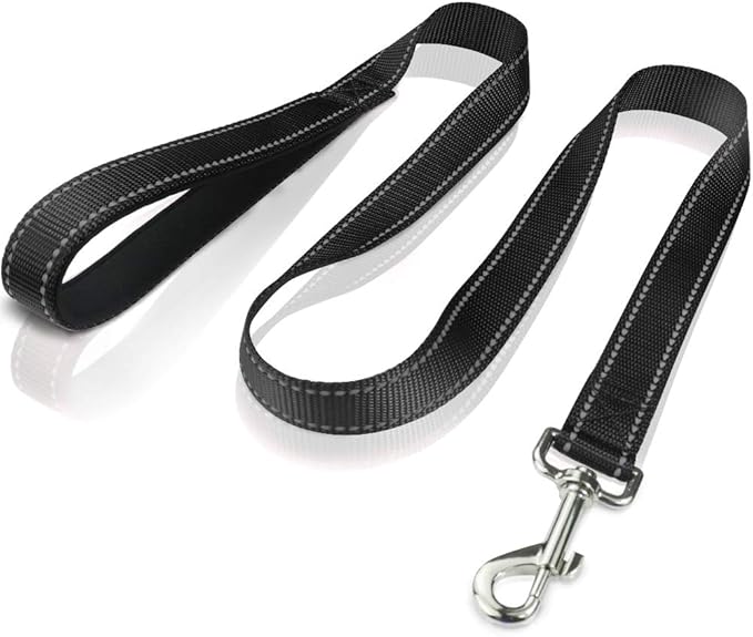 FunTags 4FT Reflective Dog Leash with Soft Padded Handle for Training,Walking Lead for Medium & Small Dogs,3/4 Inch Wide,Black