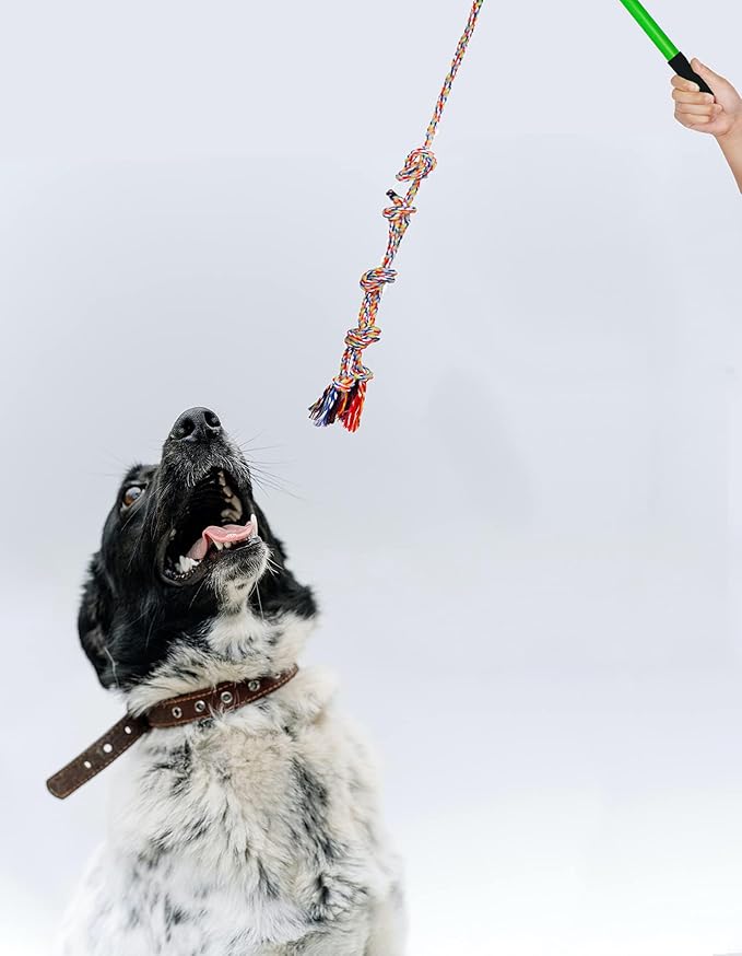 Flirt Pole Dogs,Interactive Dog Toys Dog Toy Stick,Dog Chew Toy Rope for Chewing &Training Small Medium Large Dogs Pulling, Chasing, Chewing, Training, Exercising,ROPE-67in