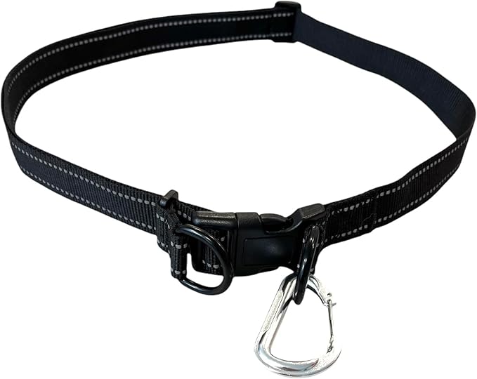 Shed Defender Hands Free Dog Leash Belt - Seen on Shark Tank - Attaches to Any Leash, Jogging & Running, Heavy Duty Buckle, Reflective Stitching, Adjustable one Size fits All, Designed in USA (Black)