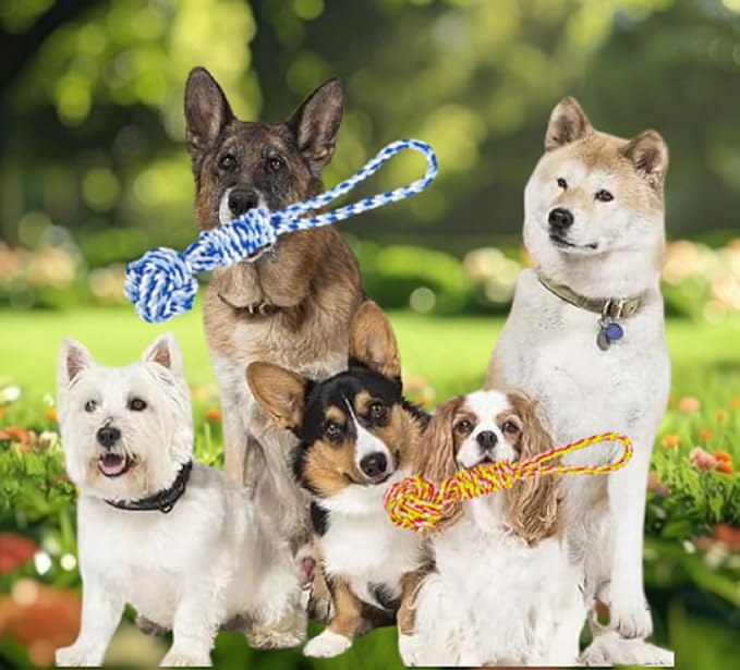 5PCS Spring Pole Dog Rope Toys, Dog Interactive Tether Tug of War Toy, Indoor Outdoor Bungee Hanging Toys, Dogs Tree Interactive Tether Pull & Tug of War Toy, Exercise Toy with Chew Rope for Dogs