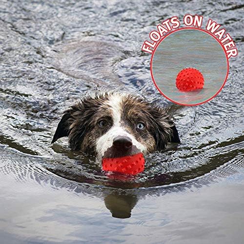 RHL Dog Squeaky Toys for Aggressive chewers Large Breed Balls Interactive Ball Toy Almost Indestructible Tough Durable Stick Medium Small Dogs Puppy Chew with Non-Toxic Natural Rubber - Image 3