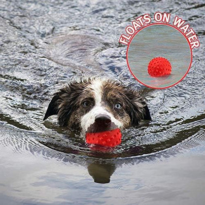 RHL Dog Squeaky Toys for Aggressive chewers Large Breed Balls Interactive Ball Toy Almost Indestructible Tough Durable Stick Medium Small Dogs Puppy Chew with Non-Toxic Natural Rubber - Image 3